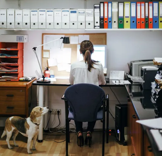 Image of girl is working